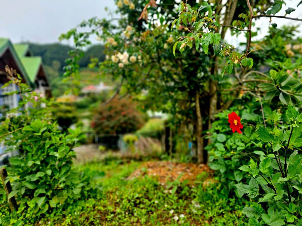 Haven Chalet Nuwara Eliya Eksteriør bilde